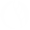 nuleaf icon